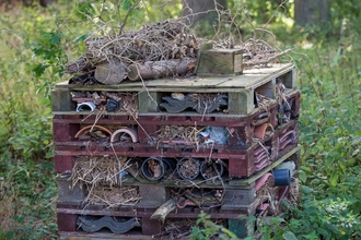 Bug Hotel - Matthew Roberts