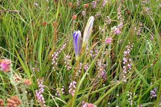 Photo for the walk taken on Catherton Common