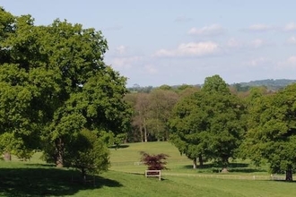 Chetwynd Deer Park