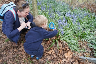 Child and bluebells