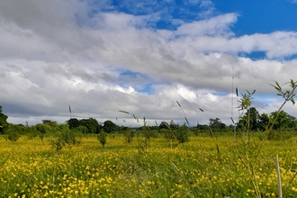 Holly Banks nature reserve
