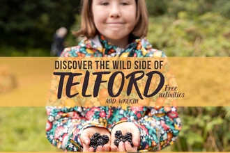 Wild Telford Promo Image