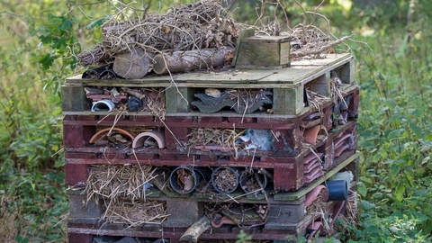 Bug Hotel - Matthew Roberts