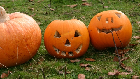 Pumpkins