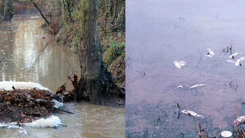 Water Pollution