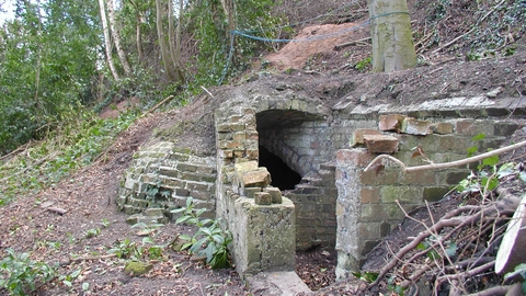 Darwins Ice House