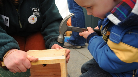 Nest box week