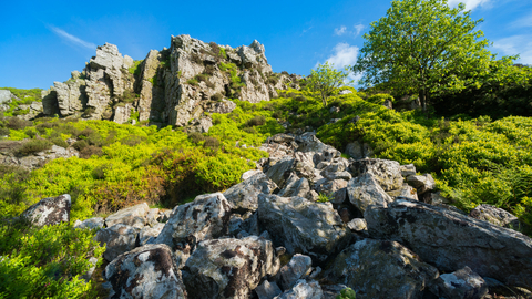 Nipstone Rock