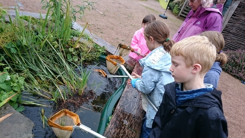 Pond dipping, Shrewsbury