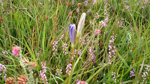 Photo for the walk taken on Catherton Common
