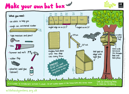 wildlife watch bat box