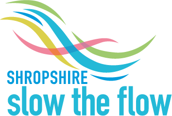 Slow the flow logo