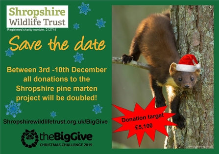 Big Give