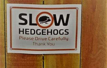 Slow Hedgehog sign