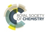 RSC logo
