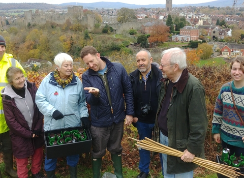 Friends of Whitcliffe Common