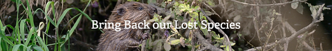 Text "Bring Back our Lost Species" over an image of a beaver
