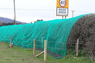 Netted hedgerow