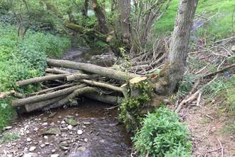 Slow the Flow project Woody debris dam in a Corve Dale brook