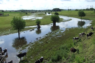 River Sow Floodplain