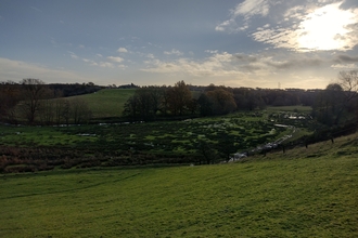 river wetland