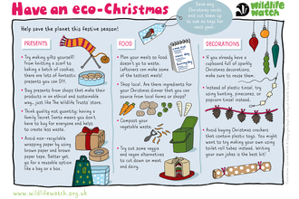 Eco-Christmas