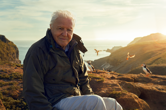 Sir David Attenborough sitting amongst puffins