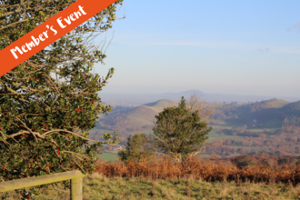 Holly trees in front of rolling hills (member's event banner in corner)