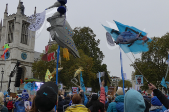 banners and flags waving above the March for Clean Water