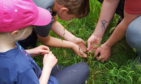 Man and children crouching, looking at insects in grass