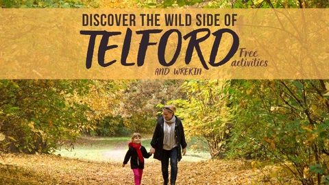 Wild Telford Promo Image