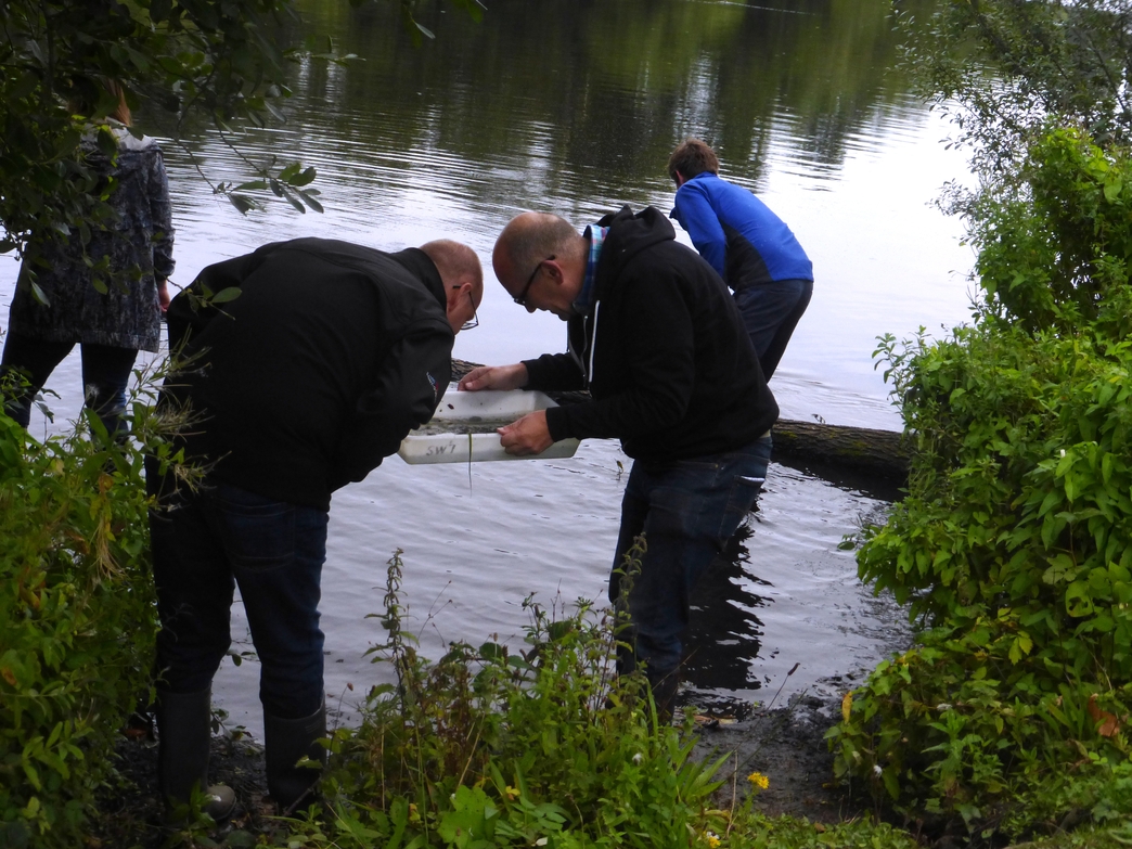 Investors | Shropshire Wildlife Trust