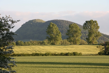 Earl's and Pontesford Hill