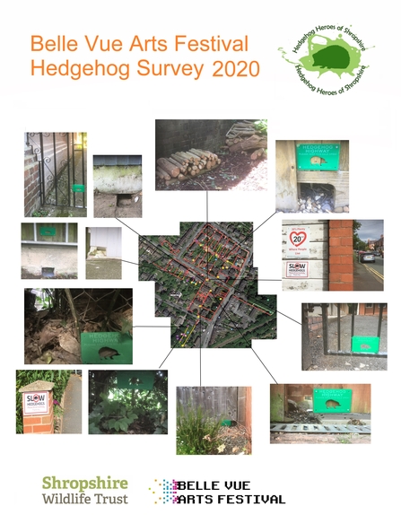 Belle Vue Hedgehog Survey 2020