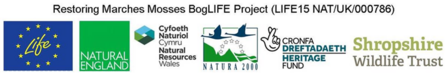 Boglife logos
