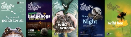 Wild About Gardens
