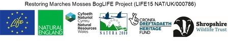 Boglife logo footer 2022