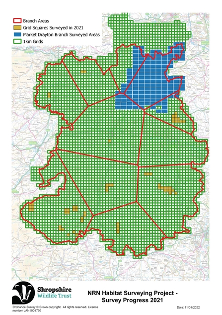 NRN surveys 2021 progress