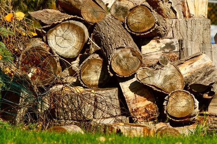 Log pile