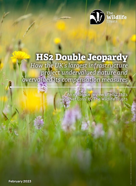 HS2 Double Jeopardy report image