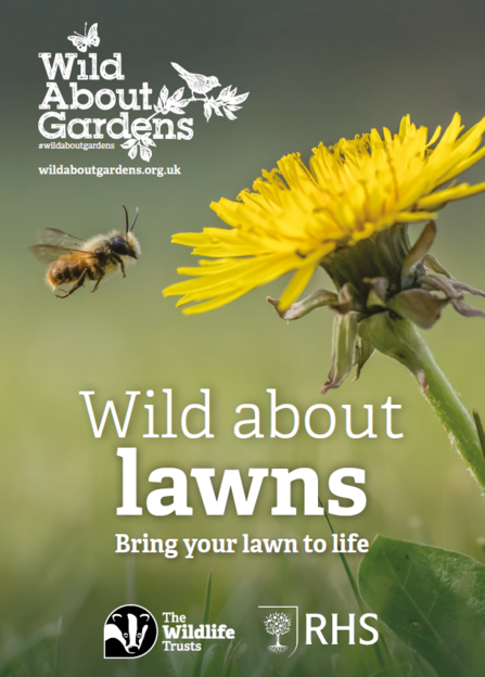 Wild about lawns 2023 image