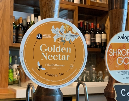 golden nectar pump clip