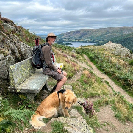 man sat on bench in front of view with golden retriever dog