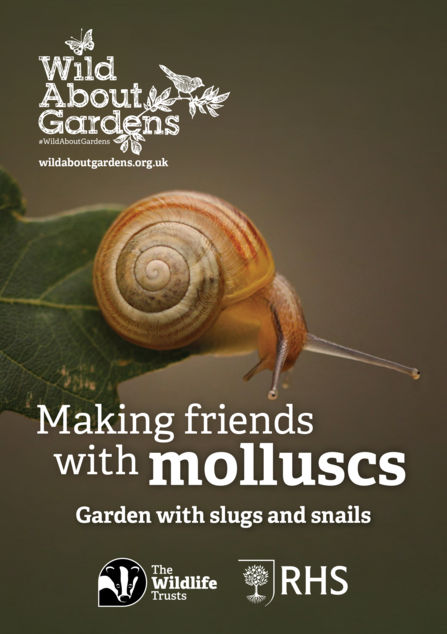 booklet cover about making friends with molluscs