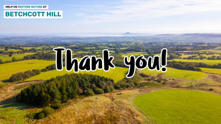 View of Betchcott Hill with 'Thank you' text