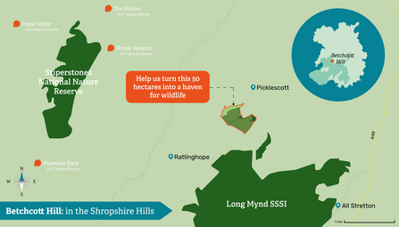 graphic map of a piece of land and where it sits on a map