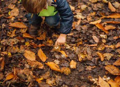 autumn leaves child